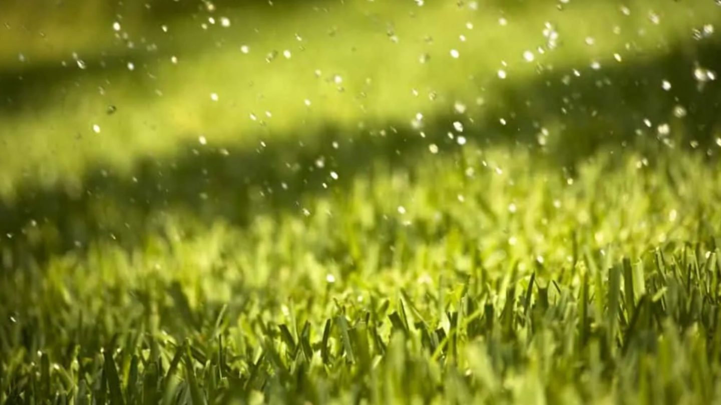 Le gazon synthétique et la pluie comment ça marche